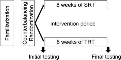 Slow-Speed Resistance Training Increases Skeletal Muscle Contractile Properties and Power Production Capacity in Elite Futsal Players